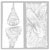 drawings